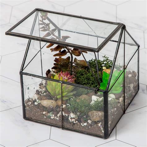 Amazon Ferrisland Glass Plant Terrarium Container Wardian Case