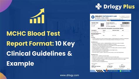 10 Key Clinical Guidelines for MCHC Blood Test Report Format - Drlogy