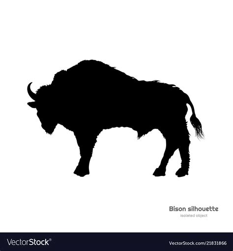 Bison Calf Silhouette