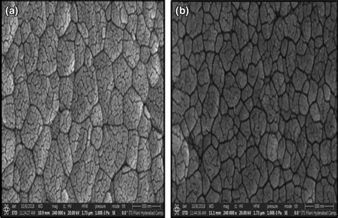 A Fesem Micrograph Of Bfo Calcined At 400 °c And Annealed At 550 °c For