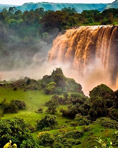 EL ORIGEN DEL CAFÉ LA LEYENDA DEL PASTOR KALDI