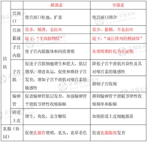 雌孕激素对附性器官的作用（临床执业医师二试高频易混淆考点）