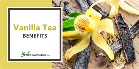 7 Surprising Health Benefits Of Vanilla Tea Delicious Recipe