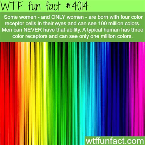 Why Women See More Colors Than Men