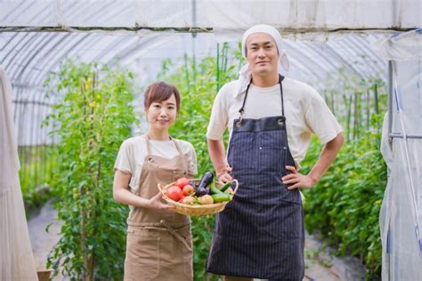 農業を始めるなら絶対に押さえておきたいビニールハウス栽培の魅力！儲かる野菜ベスト5も！ みんなで農家さん