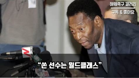 손흥민 Wbc 야구 대표팀 합류 초대박 챔피언스리그 좌절 딛고더보기 유머움짤이슈 에펨코리아