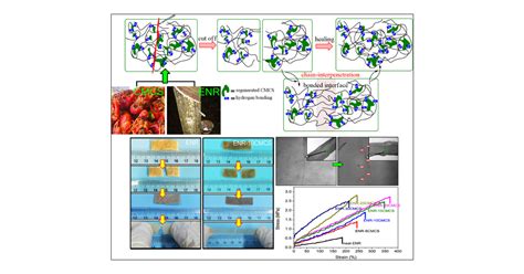 Self Healable Recyclable And Strengthened Epoxidized Natural Rubber