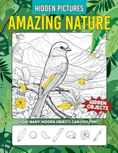 Amazing Nature Hidden Pictures Book Hidden Pictures Puzzle Books For