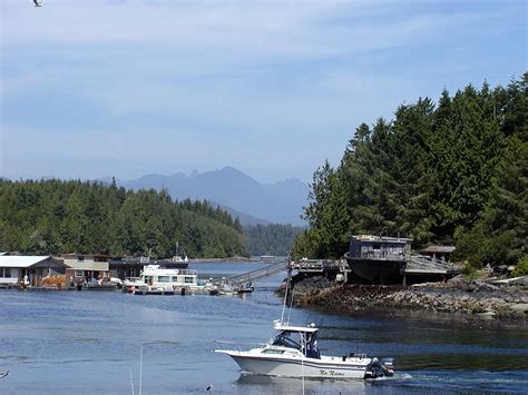 Tofino Puerto Barcos Foto Gratis En Pixabay Pixabay