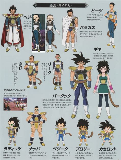 Character Design Dragon Ball Series Dragon Ball Super Dragon Ball Super