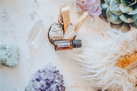 Benefits And Ways To Use Clary Sage Essential Oil Desert Naturals