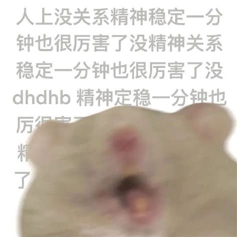 鼠鼠我呀表情包大全 鼠鼠我呀表情包图片下载3dm手游