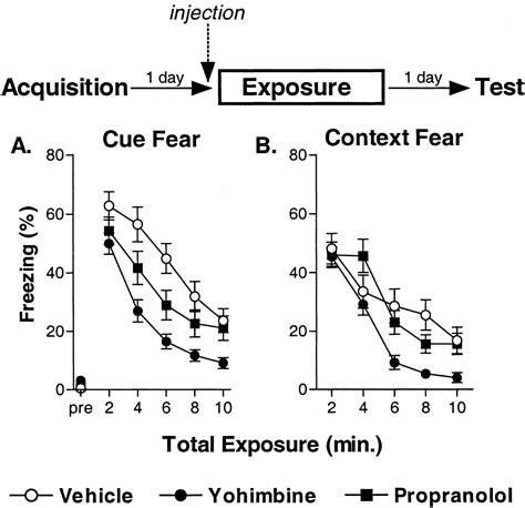 Adrenergic Transmission Facilitates Extinction Of Conditional Fear In Mice