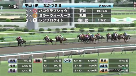 【924 ながつきsほか】中山ダイジェストjraレース結果 競馬予想動画