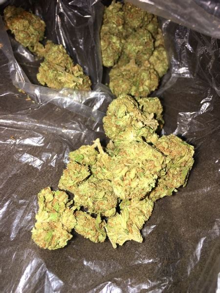 Purple Kush | Marijuana Strain Reviews | AllBud