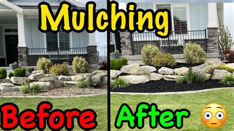 Before And After Yard Refreshing Flower Bed Mulch YouTube