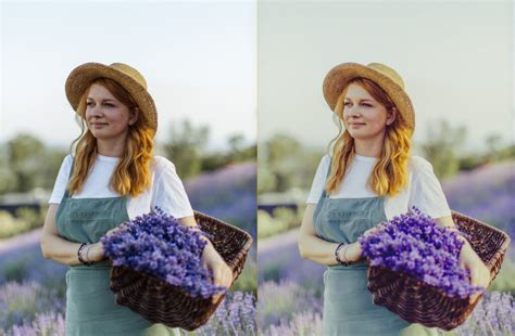 Lavender Preset And Overlay Lightroom Presets Lightroom Mobil