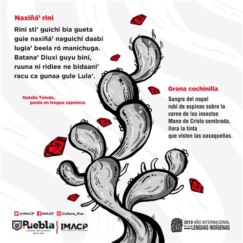 Procreate Illustrations Poemas indígenas Parte 1 Behance