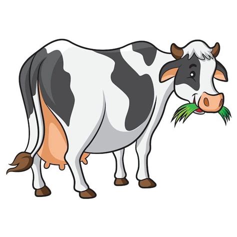 Baby Cow Baby Cow Wallpaper Cow With Baby Cow Baby Cow Drawing Baby