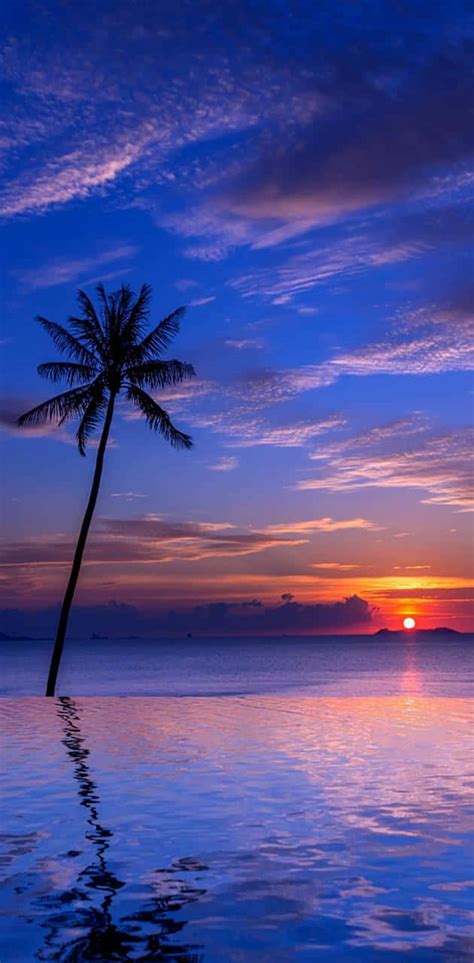 Download Tropical Sunset Sea Reflecting The Sky Wallpaper | Wallpapers.com