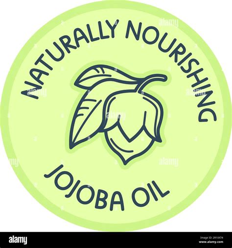 Naturally Nourishing Jojoba Oil Organic Product Stock Vector Image
