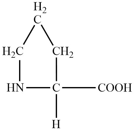 Draw The Zwitterion And Give The Three And One Letter Abbre Quizlet