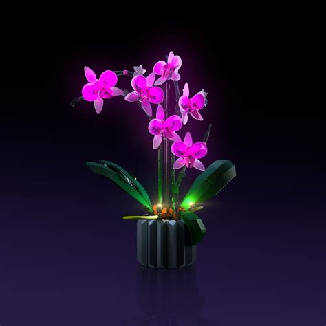 10311 Orchid 2 0 Light My Bricks Support Portal