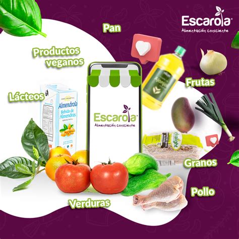 Ya Exploraste Todas Nuestras Categorías Escarola Alimentos Orgánicos