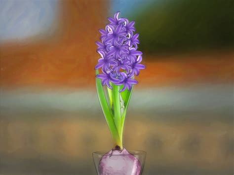 How to Grow a Hyacinth Bulb in Water: 9 Steps (with Pictures)