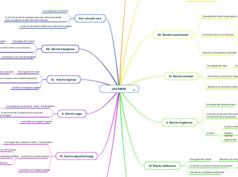 Los Pares Craneales Mind Map