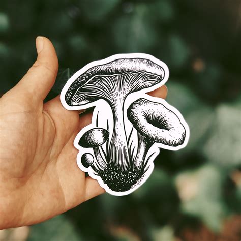 Mushroom Sticker Pack Set Of 3 Waterproof Stickers Original Etsy