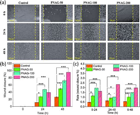 Histological Evaluation And Comparison Of Wound Healing On Day