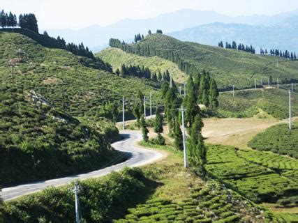 Visit "Ilam" easily: Views in Ilam