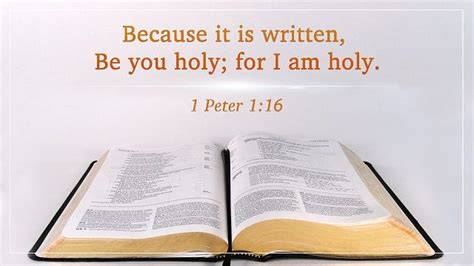 Bible Verses About Holiness — Without Holiness No Man Shall See the ...