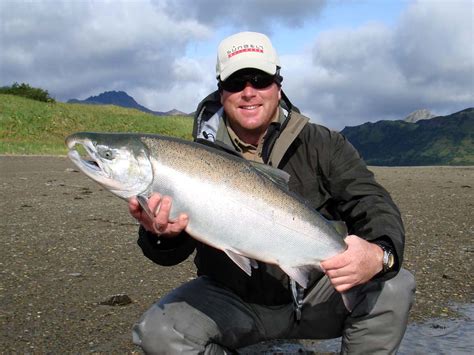 Silver Salmon Fishing In Alaska Alaska Fly Fishing Trips