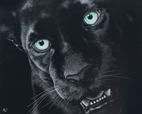 Black Jaguar Wallpapers Top Free Black Jaguar Backgrounds