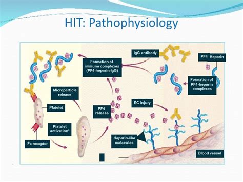 Thrombocytopenia