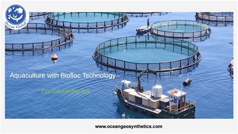 Biofloc Fish Tank System Pvc Fish Farming Tank By Oceanglobal Issuu