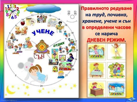 23. Дневен Режим - РК, Просвета - В. П.