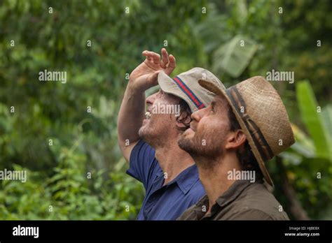 GOLD (2016) MATTHEW MCCONAUGHEY EDGAR RAMIREZ STEPHEN GAGHAN (DIR ...