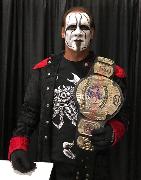 Sting, reunited with the original WCW World Heavyweight Champion… | Wcw ...