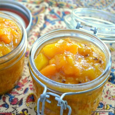 20 Sweet And Savory Persimmon Recipes Youll Love Rainbow Delicious