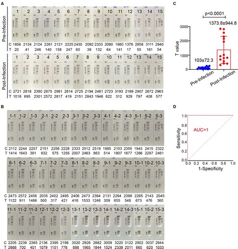 Frontiers Development Of A Colloidal Gold Based Immunochromatographic Assay For Rapid