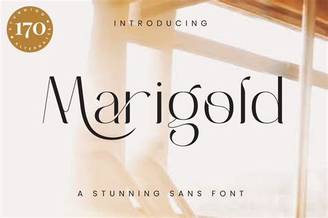 Marigold Font By Typesthetic Studio Creative Fabrica