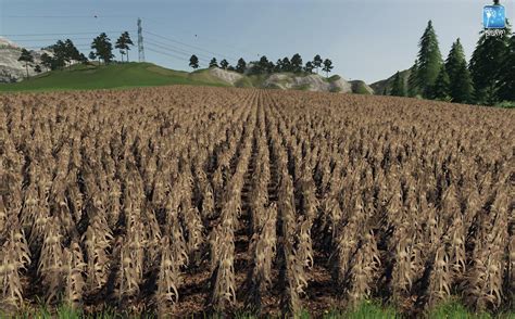 Forgotten Plants Maize V 10 Fs19 Mod