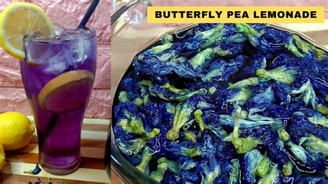 How To Make Blue Lemonade Butterfly Pea Flower Lemonade Butterfly