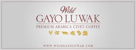 Certified Wild Kopi Luwak Gayo Arabica Coffee Wild Gayo Luwak