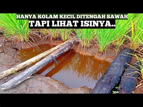 Semua Terkejut Seakan Tak Percaya Ternyata Dikolam Keramat Ini Jadi