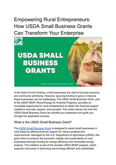 Empowering Rural Entrepreneurs How Usda Small Business Grants Can