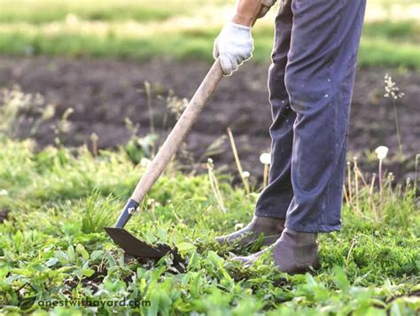 How To Use A Garden Hoe In 2024 A Nest With A Yard